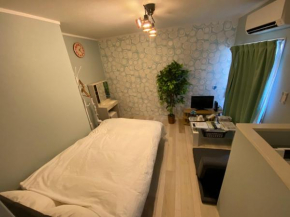 Escurrent Kiyokawa / Vacation STAY 5430